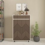 Agnor Designer Shoe Rack (24 Pairs) | Handle-Less Shutters, 1 Drawer, Adjustable Shelves | Engineered Wood Shoe Stand | Colour: Mocha Brown and Frosty White | spacesbyU