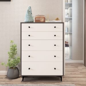Roven Chest of Drawers | Premium Engineered Wood | Storage Cabinet | Finish: Grey and Frosty White | spacesbyU